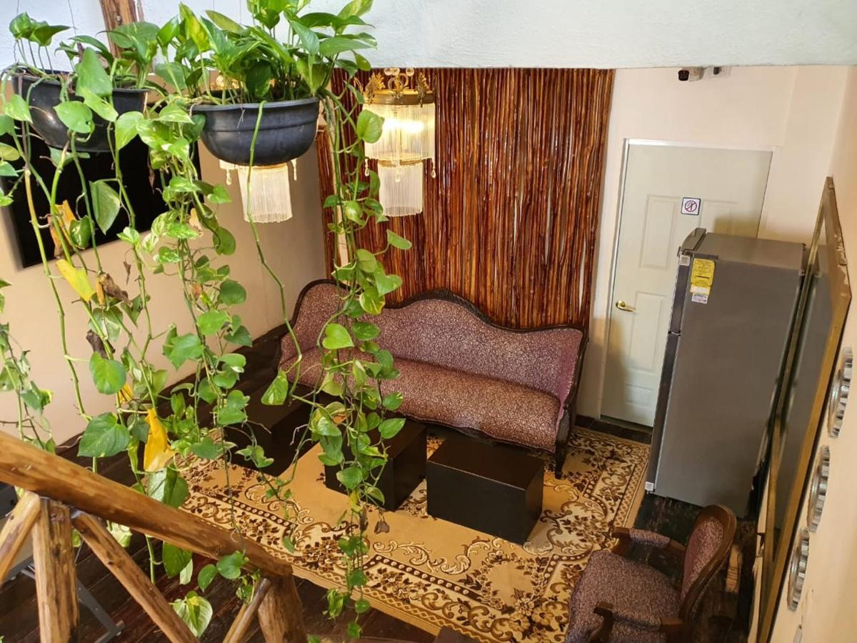 Elixir Homes トゥルム エクステリア 写真