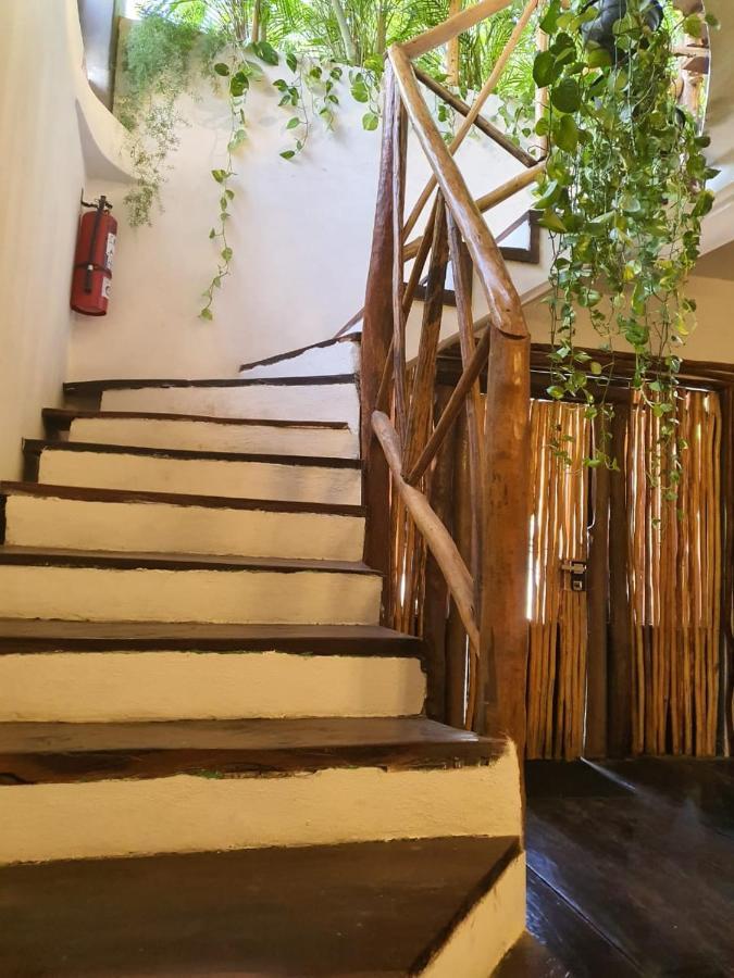 Elixir Homes トゥルム エクステリア 写真